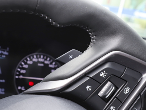 2021Ş EyeSight п؅^