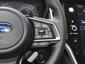 2021Ş EyeSight п؅^