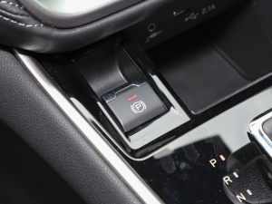 2021Ş EyeSight v܇Ƅ