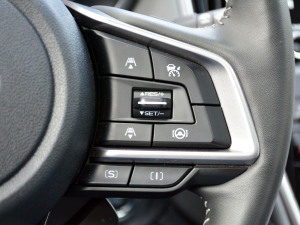 2021̽ EyeSight п؅^