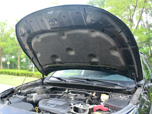 2021̽ EyeSight lәCœ