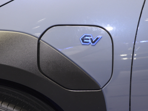 2022������� �������^