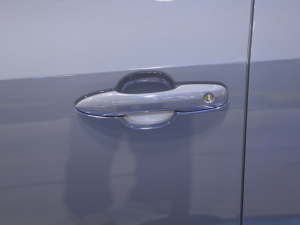 2022������� �������^