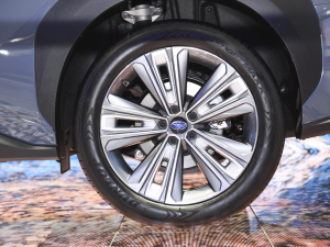 2022������� �������^