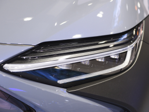 2022������� �������^