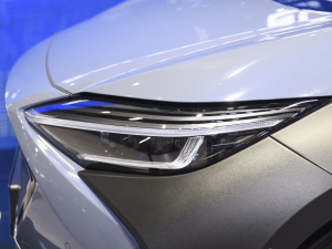 2022������� �������^