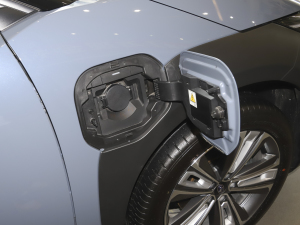 2022������� �������^