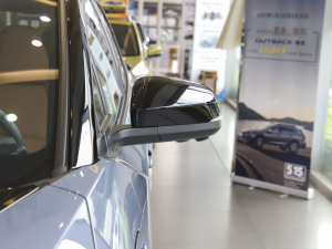 2022������� �������^