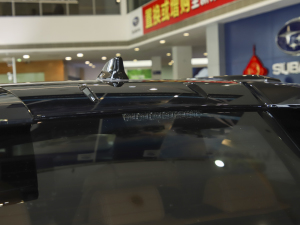 2022������� �������^