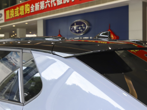 2022������� �������^