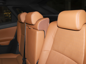 2022������� ���g����