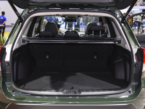 20222.0i ŞEyeSight g