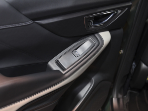 20222.0i ŞEyeSight п؅^(q)