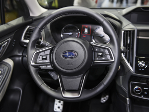 20222.0i ŞEyeSight п؅^(q)