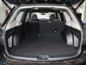 20222.0i ŞEyeSight g