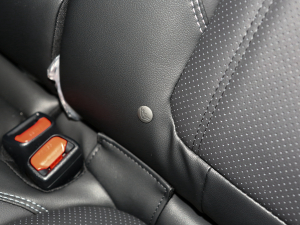 20222.0i ŞEyeSight g