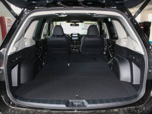 20222.0i ŞEyeSight g