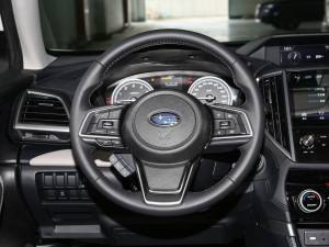 20222.0i AEyeSight P