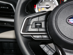 20222.0i AEyeSight п؅^