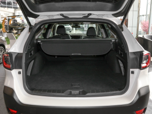 20222.5i \Ӱ EyeSight g