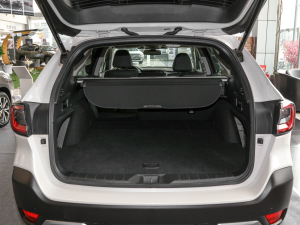 20222.5i \Ӱ EyeSight g