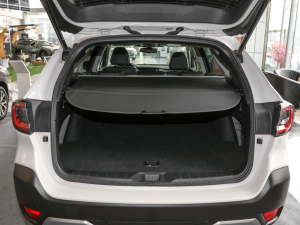 20222.5i \Ӱ EyeSight g