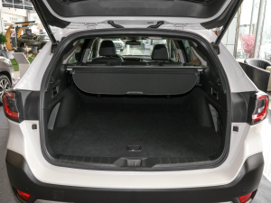 20222.5i \Ӱ EyeSight g