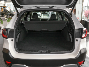 20222.5i \Ӱ EyeSight g