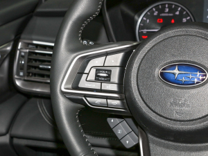 20222.5i \Ӱ EyeSight п؅^