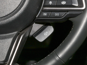 20222.5i \Ӱ EyeSight п؅^