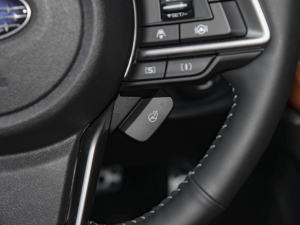 20222.5i Ş EyeSight п؅^(q)