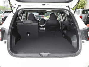 20232.5i AWDӢEyeSight g