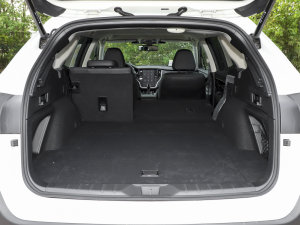 20232.5i AWD\(yn)(dng)EyeSight g