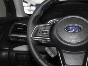 20242.0i AWDAEyeSight п؅^(q)