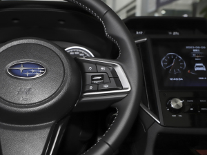 20242.0i AWDAEyeSight п؅^