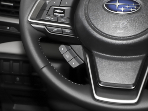 20242.0i AWDAEyeSight п؅^