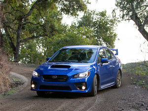 2014��STI ���w���^