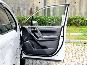 20182.5i FEyeSight g