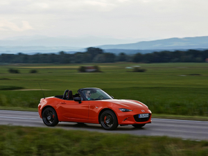 201930th Anniversary Edition w^