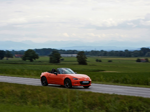 201930th Anniversary Edition w^