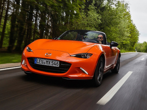 201930th Anniversary Edition w^