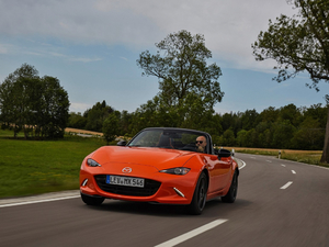 201930th Anniversary Edition w^