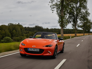 201930th Anniversary Edition w^