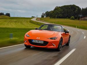 201930th Anniversary Edition w^