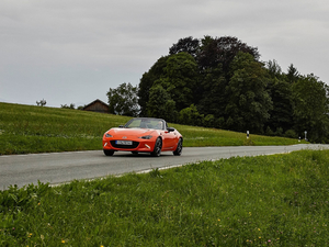 201930th Anniversary Edition w^