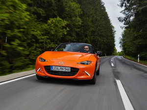 201930th Anniversary Edition w^