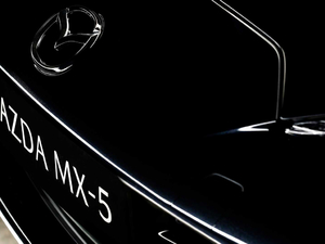 2020Eunos Edition (x)(ji)^