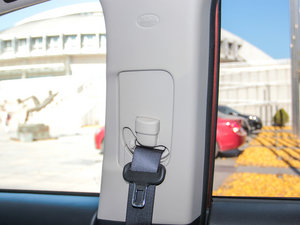 20132.4L (q)ӢGT 7 g