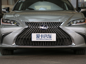2018款300h 尊享版 国V 中网