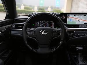 2018款300h 尊享版 国V 方向盘